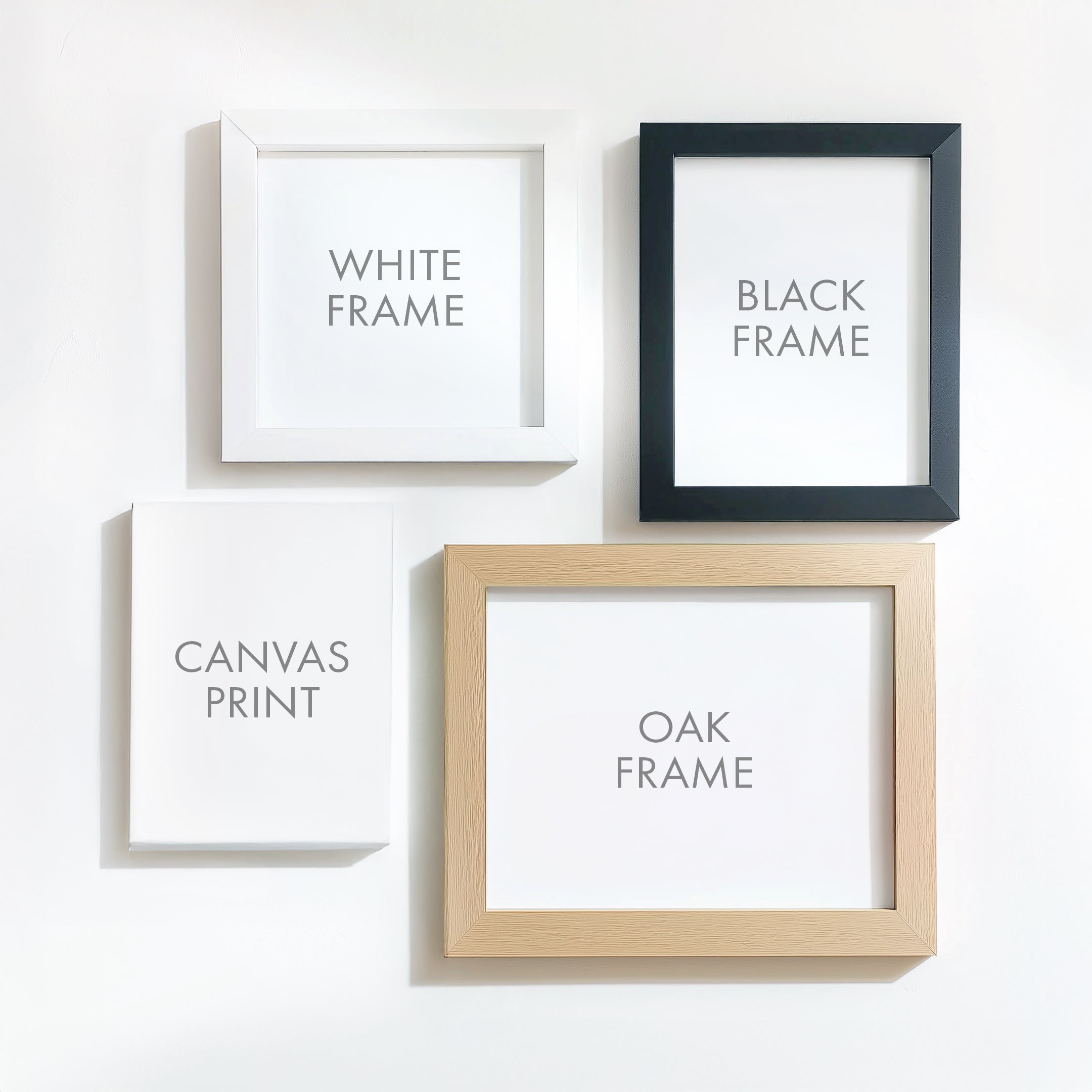Black & White Pet Portraits