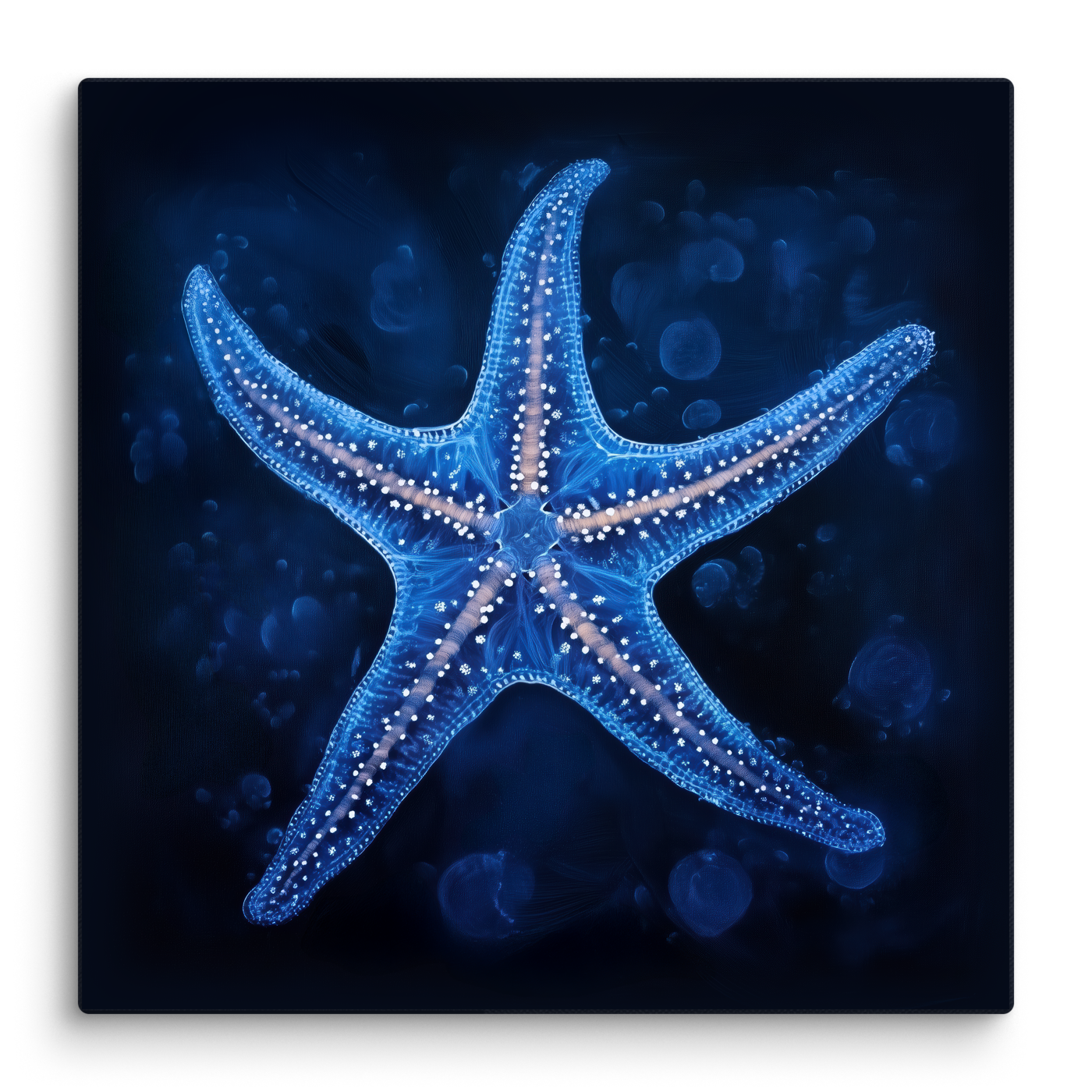 Sea Star II